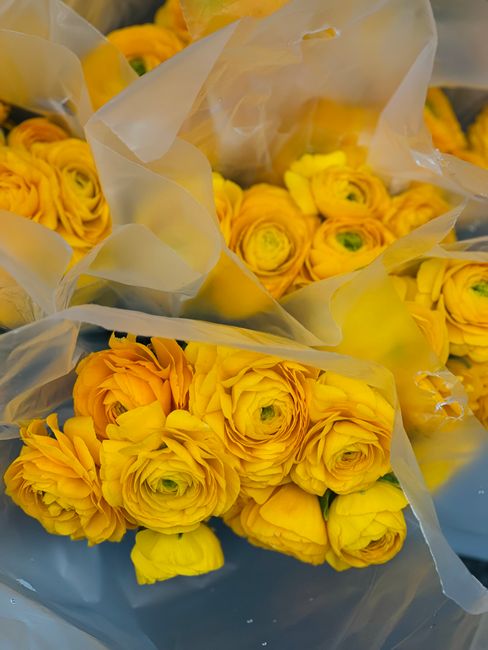 A close-up of vibrant yellow ranunculus flowers arranged in bouquets, with delicate, tightly layered petals and fresh green stems visible. The flowers are wrapped in soft, translucent wrapping paper,